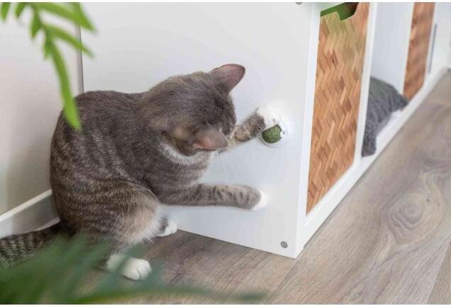 Actual product image Trixie Catnip Ball (Cat ball toy)