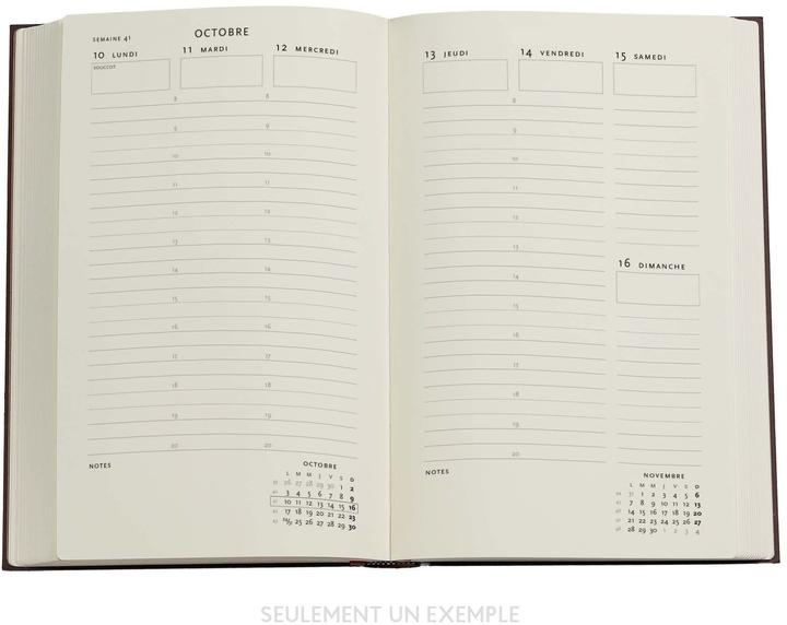 Produktbild Paperblanks PAPERBLAN Agenda Taubengrau Maxi 25/26 DD0539-2 1W/2S 18M DE VER HC 13.5x21cm (13.5 x 21 cm, Deutsch)