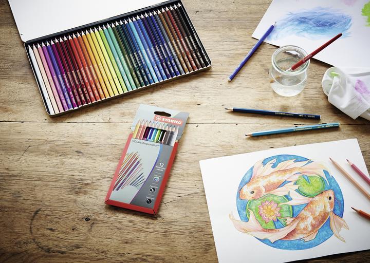 Actual product image STABILO aquacolor watercolour crayon (Multicoloured, 12 x)