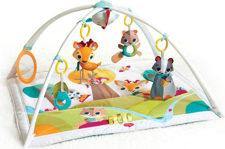 Actual product image Tiny Love Tiny Princess