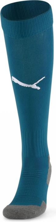 Actual product image Puma Team LIGA Socks CORE-703441 (47, 49)