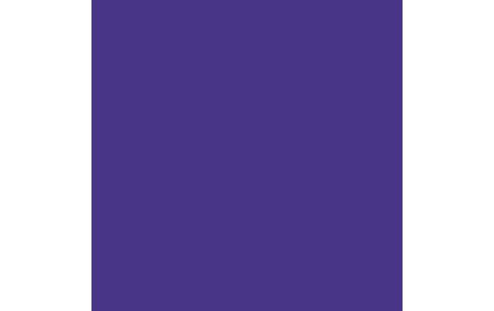 Actual product image Amsterdam Acrylic paint Standard Series (Ultramarine violet, 120 ml)