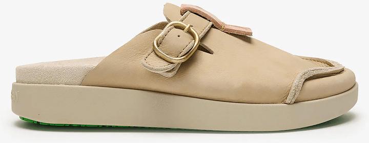 Satorisan Hoote Premium