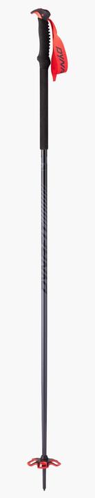 Produktbild Dynafit Tour Pole (145 cm)