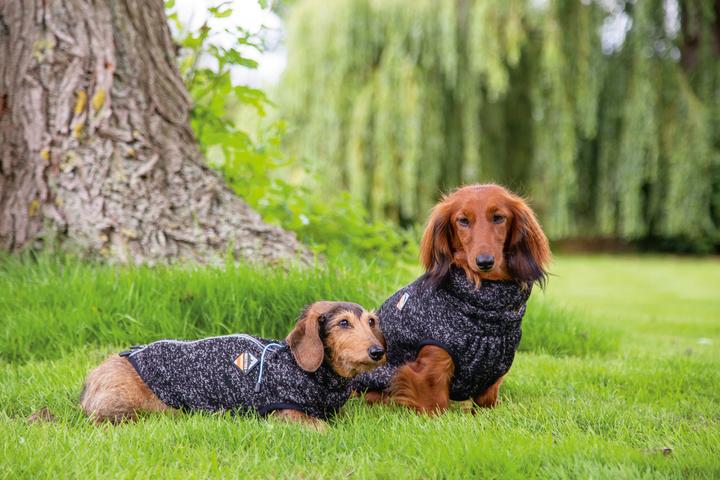 Produktbild Beeztees Hundepullover Celia (24, Hundepullover)