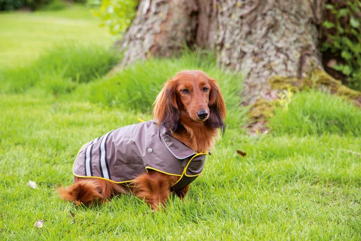 Actual product image Beeztees Dog Raincoat Seja (24, 28, 32, 36, 40, 44, 48, 52, Dog raincoat)