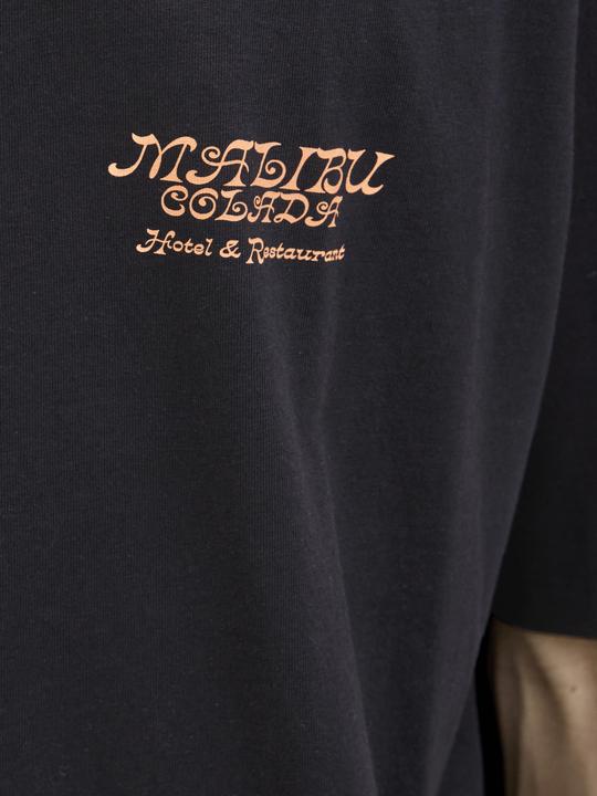 Image du produit Jack & Jones Jorbotaniq Tee Ss Crew Neck Tg Ln (M)