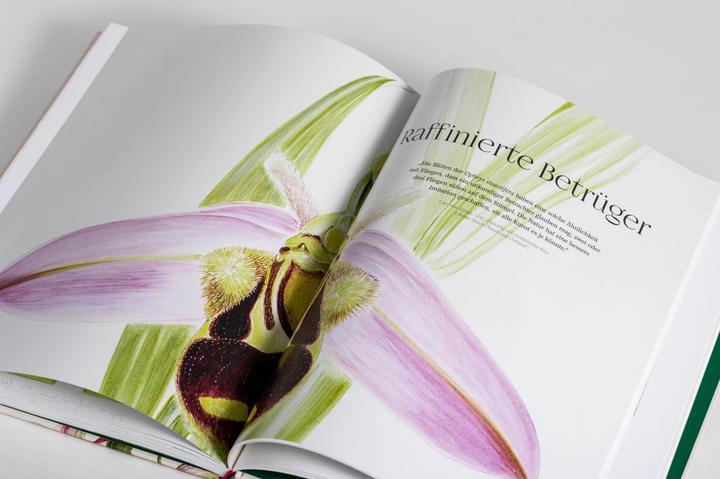 Produktbild Orchideen (Deutsch, Sandra Knapp, 2022)
