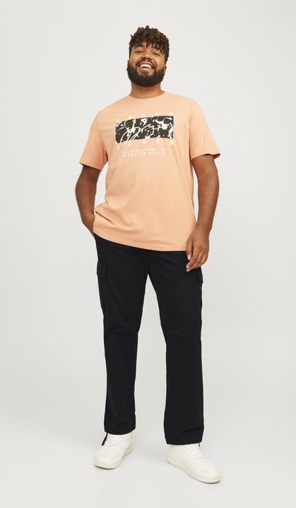 Actual product image Jack & Jones Jpstkane Jjbarkley Cargo Pant Noos Pls (W44/L32)