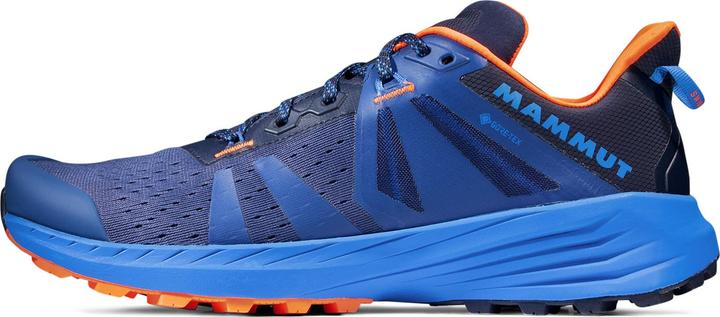 Actual product image Mammut Saentis TR Low GTX Men (40)