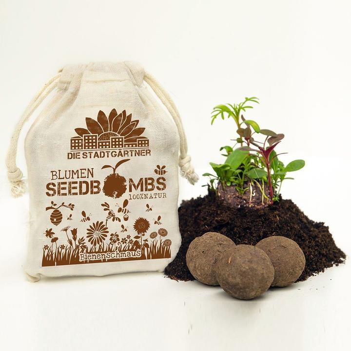 Actual product image Die Stadtgärtner Seed bombs bee feast (Flower seeds)