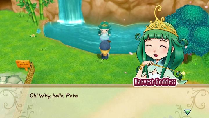 Produktbild Marvelous Story of Seasons : Friends of Mineral Town (Switch, FR)