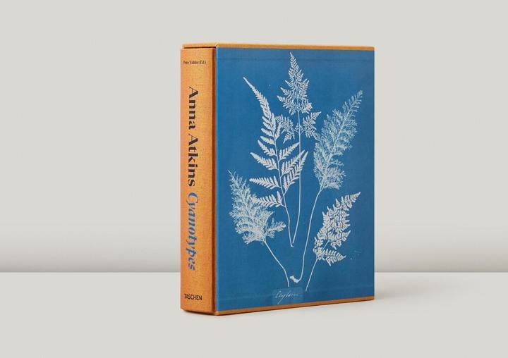 Produktbild Anna Atkins. Cyanotypes (Englisch, Französisch, Deutsch, Walther, Peter, 2023)