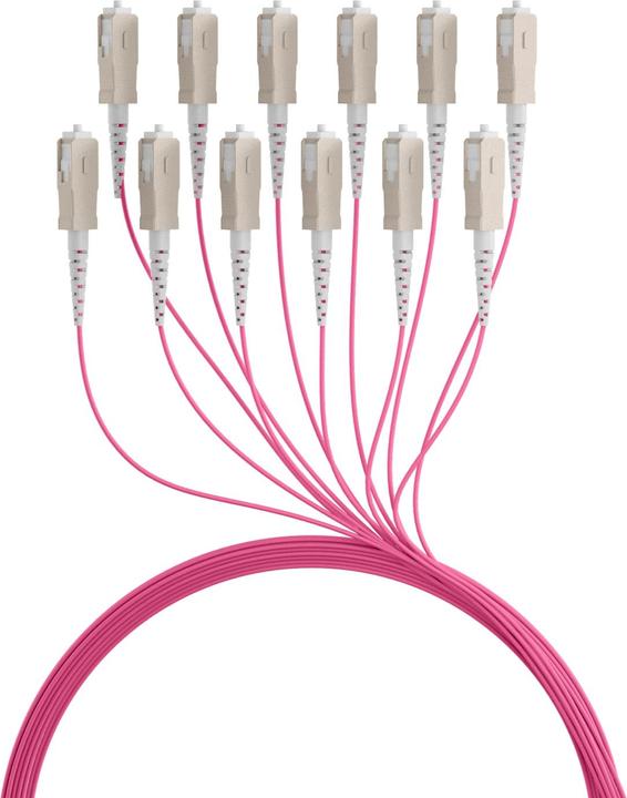 Immagine prodotto EFB Elektronik Cavo dorsale U-DQ ZN BH OM4 12G 1x12 SC-SC 150m Dca LSZH (U/FTP, CAT6, 150 m)