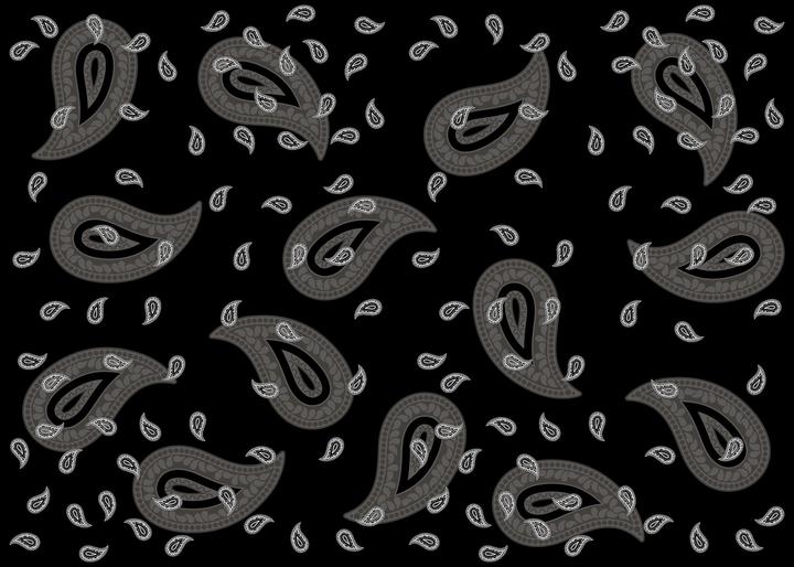 Image du produit Industyle Design Foulard / écharpe au motif paisley glaronnais, noir