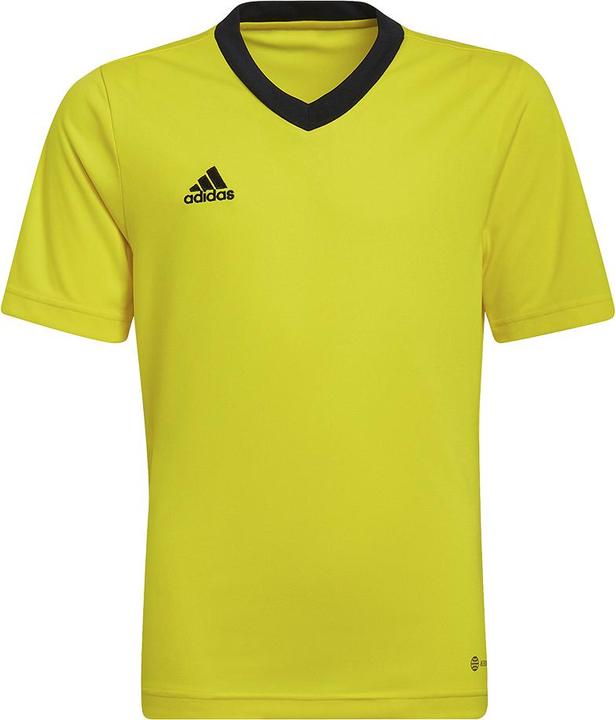 Actual product image adidas Entrada 22 Jersey (164)
