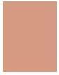 Actual product image Physicians Formula Butter Foundation & Concealer ealer 1711756E (Fair-To-Light)
