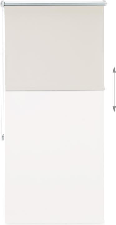 Image du produit Relaxdays Store enrouleur occultant (80 x 4 x 160 cm)