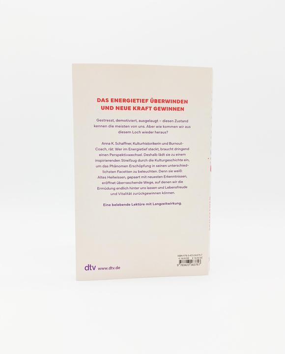 Image du produit Erschöpft? (Allemand, Anna Katharina Schaffner, Beate Schäfer, 2024)