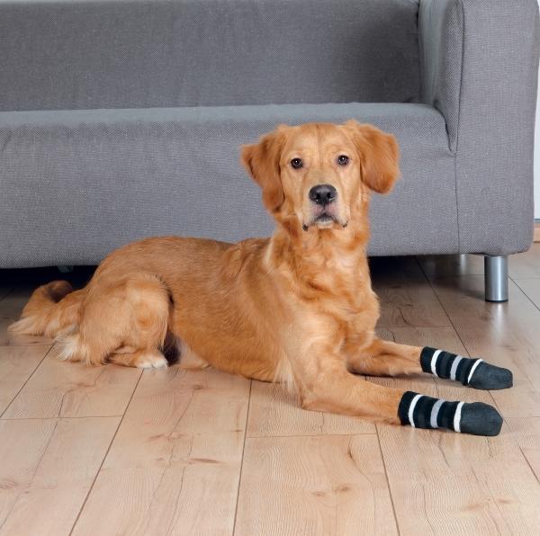 Image du produit Trixie Chaussettes pour chiens XL (XL, Chaussettes pour chien)