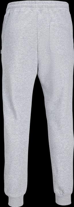 Image du produit Jack & Jones Pantalon de sweat Gordon Bradley (XS)