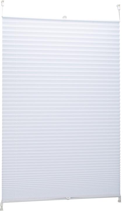 Immagine prodotto Relaxdays cieco plissettato (90 x 2 x 210 cm)