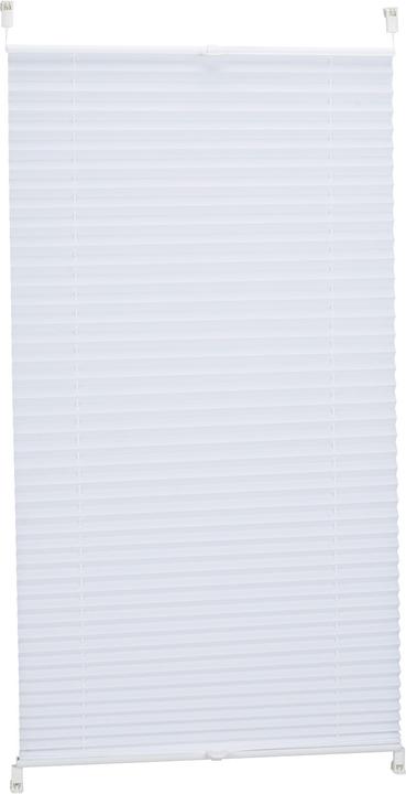 Immagine prodotto Relaxdays cieco plissettato (60 x 2 x 130 cm)