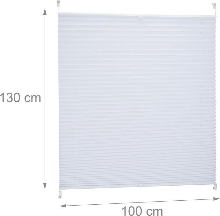 Immagine prodotto Relaxdays cieco plissettato (100 x 2 x 130 cm)