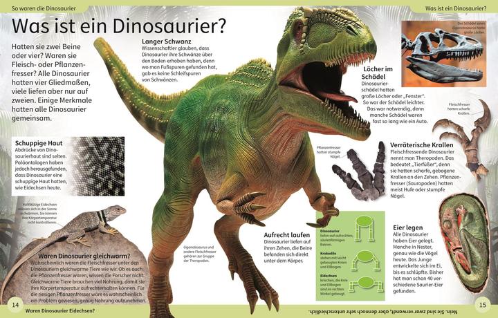 Actual product image DK Kinderlexikon. Dinosaurier (German, Caroline Bingham, 2022)