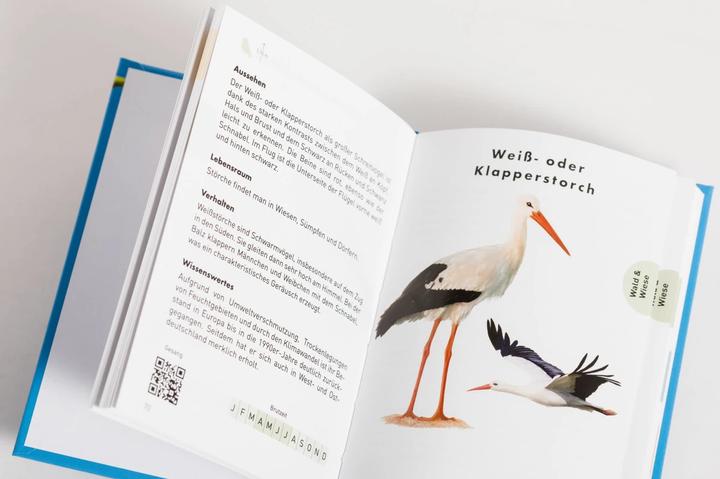 Produktbild Taschenführer Vögel (Deutsch, Thomas Launois, Svenja Tengs, 2020)