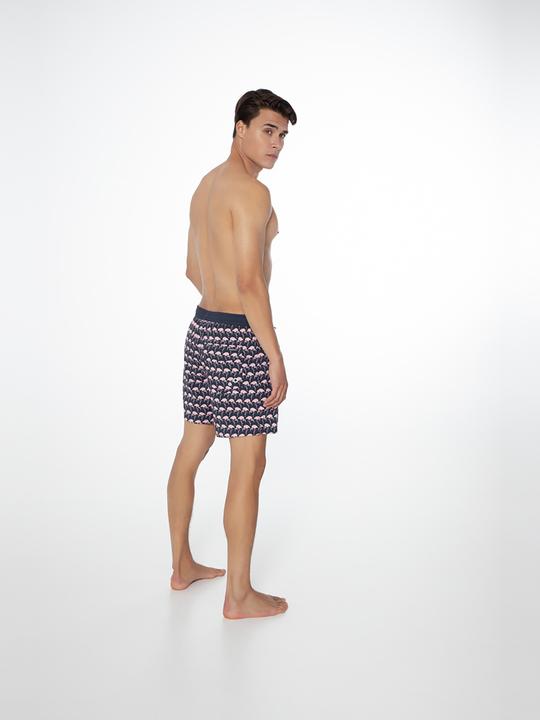 Actual product image MGA Men's shorts protest Prtohlander beach shorts (L)