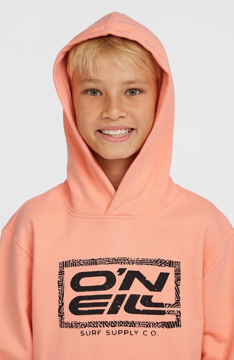Produktbild O'Neill Logo Hoodie (176)