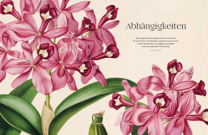 Produktbild Orchideen (Deutsch, Sandra Knapp, 2022)