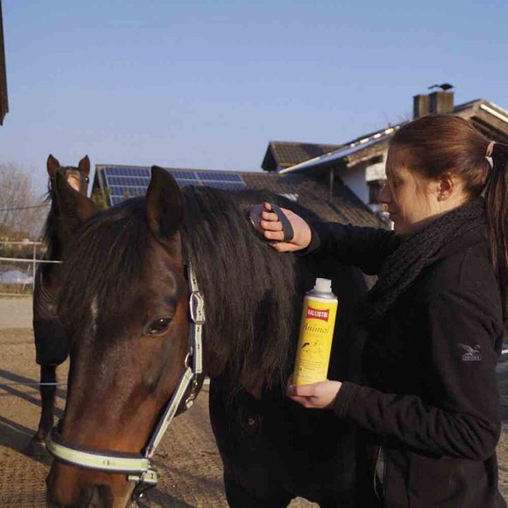 Actual product image Ballistol Animal (Dog, Cat, Rodents, Vault, 500 ml)