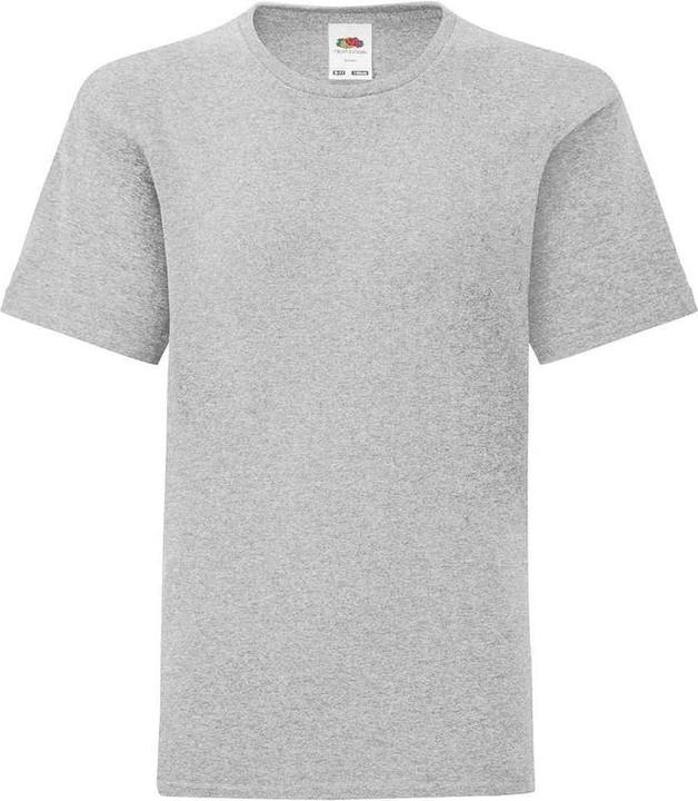 Fruit of the Loom Iconic TShirt (164, 170)