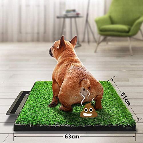 Actual product image Sailnovo Dog toilet (Dog house)