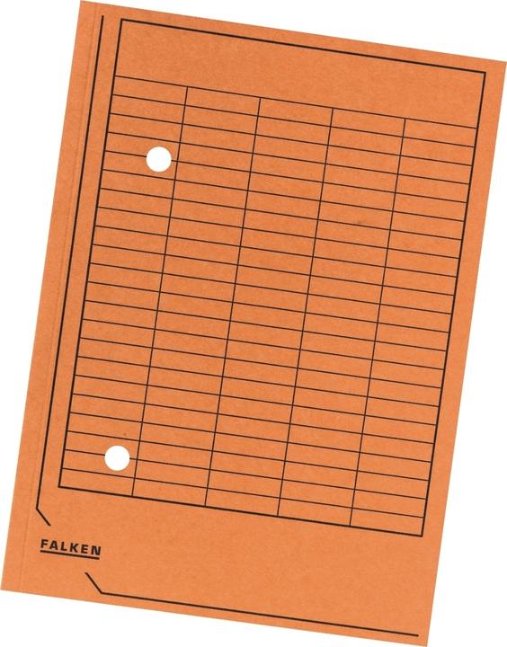 Immagine prodotto Falken File fluttuante (A4, 1 x)