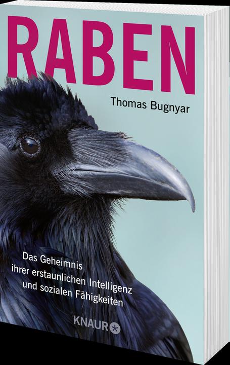 Produktbild Raben (Deutsch, Thomas Bugnyar, 2024)