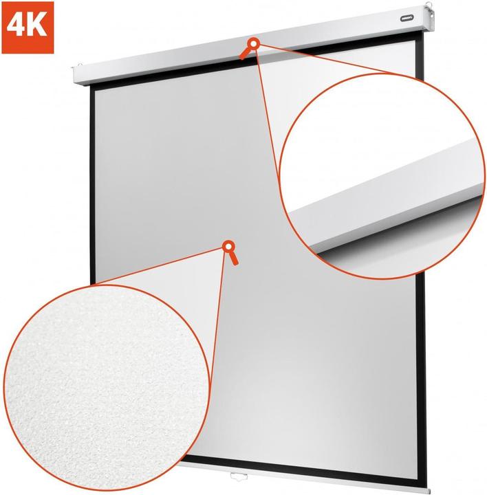 Actual product image Celexon Roller screen Professional Plus 300x187 cm 16:10 (139.37", 16:10)
