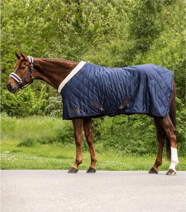 Waldhausen Transportdecke Exclusive 50g (155 cm)