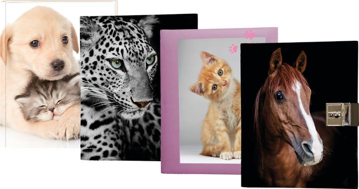 Eibert Visual Journal intime Best Friends (A5+, Blanc, Couverture rigide)