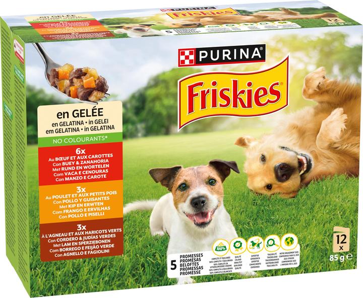 Friskies En gelée (Adulte, 12 pcs, 1160 g)