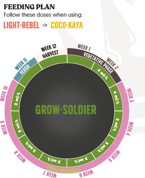 Actual product image BioBizz JuJu Royal Grow Soldier 250ml (0.30 kg, 0.25 l)