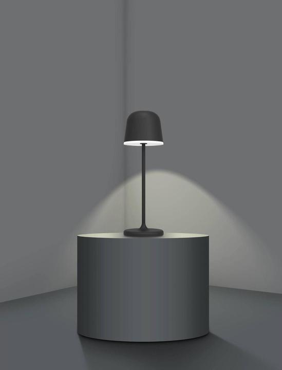 Actual product image EGLO Mannera (200 lm)