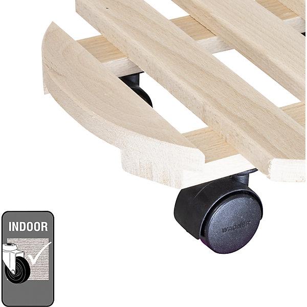 Image du produit Pflanzenroller Buche PALETTI 0318