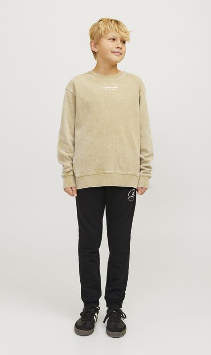 Image du produit Jack & Jones Pantalon de jogging Mini Jogging (116)
