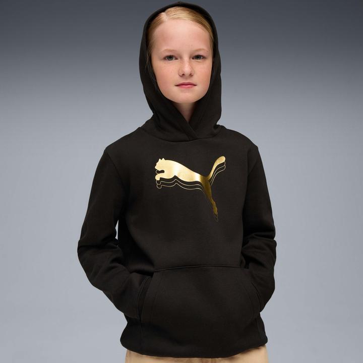Produktbild Puma ESS METALLIC Hoodie FL G (128)