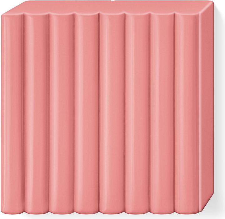 Actual product image Fimo Modelling clay