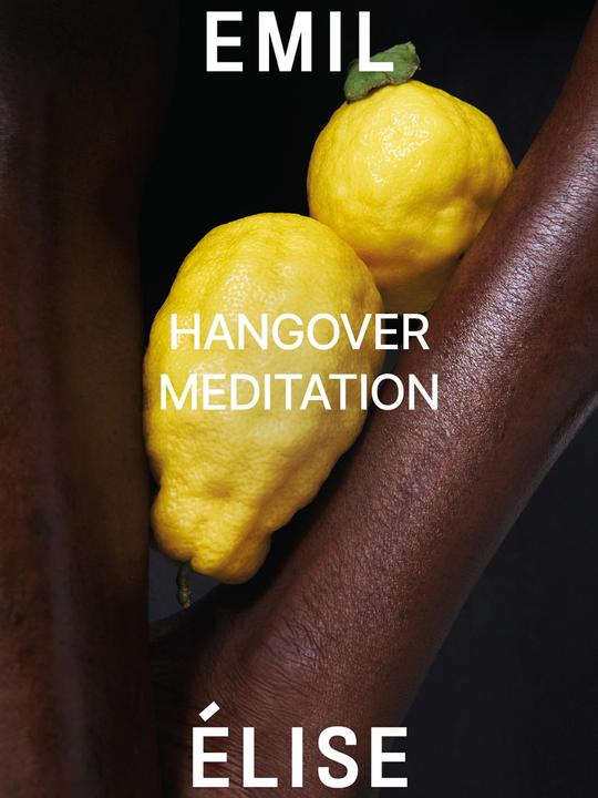 Immagine prodotto Emil Élise Meditazione sui postumi della sbornia (Eau de parfum, 100 ml)