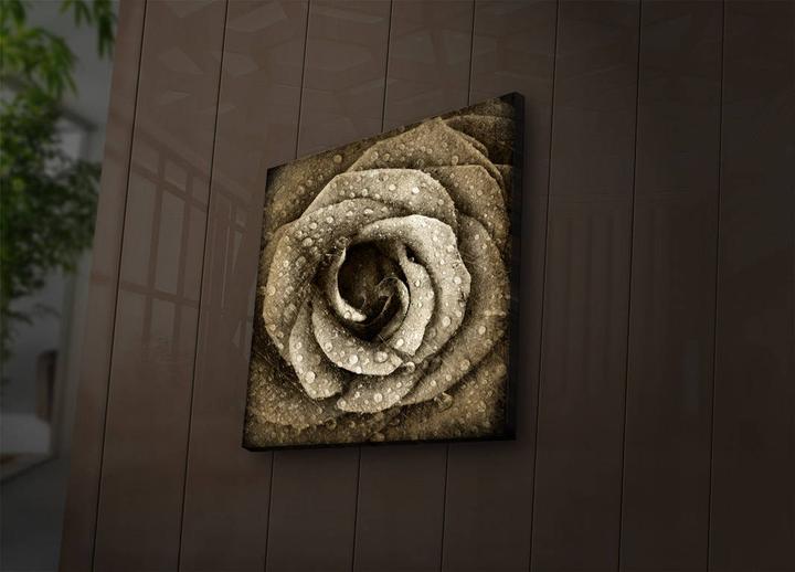 Produktbild Wallxpert Isabela (40 x 40 cm)